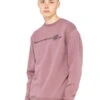 SANTA CRUZ OPUS DOT STRIPE CREW WASHED GRAPE