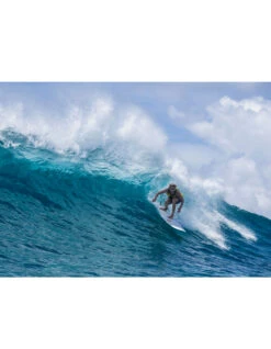 TORQ TET 8'0" LONG WHITE + PINLINE -Salty Crew Shop torq tet 8 0 longboard white pinline 6